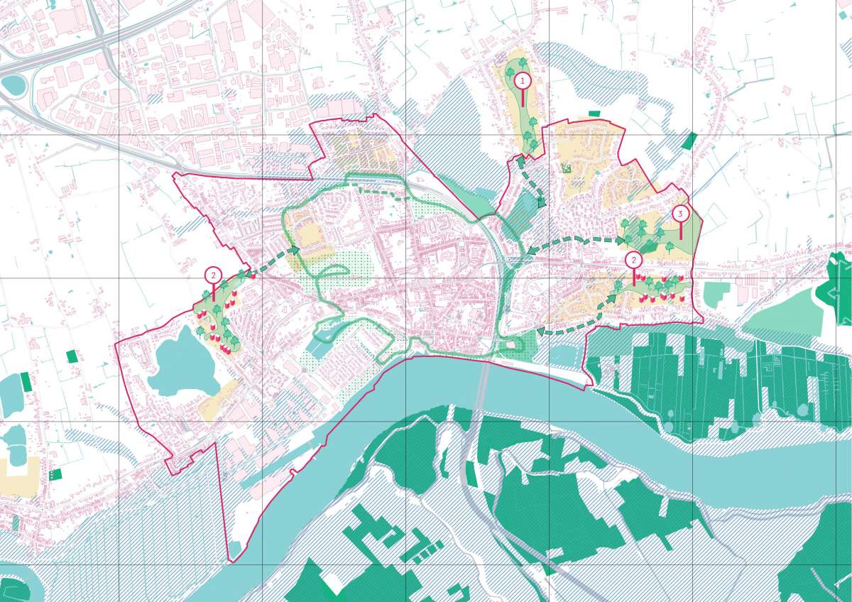 310 TEM Groene wugvingers3